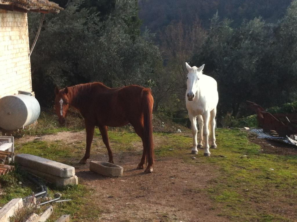 Agriturismo Villa Gabbiano Capodacqua  エクステリア 写真